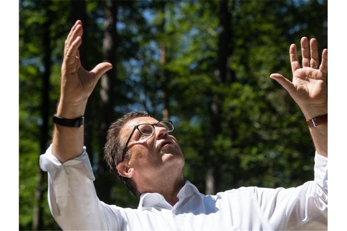 Forstminister Hauk will Notfallplan für den Wald vorlegen Peter Hauk (CDU), Forstminister von Baden-Würtemberg, spricht in einem Waldstück. Foto: Marijan Murat/Archiv