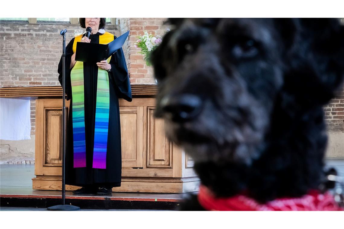 Pfarrerin Andrea Richter spricht im Beisein von Pudel-Mischling Billie bei einem Tiersegnungsgottesdienst in der Parochialkirche in Berlin.