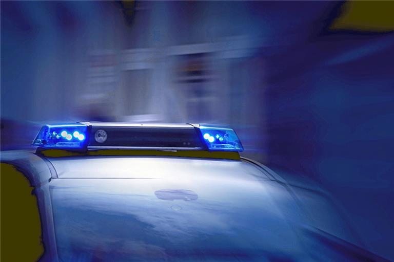 Pferd warf junge Reiterin ab. Die Ursache ist unklar. Symbolfoto:  stock.adobe/pattilabelle
