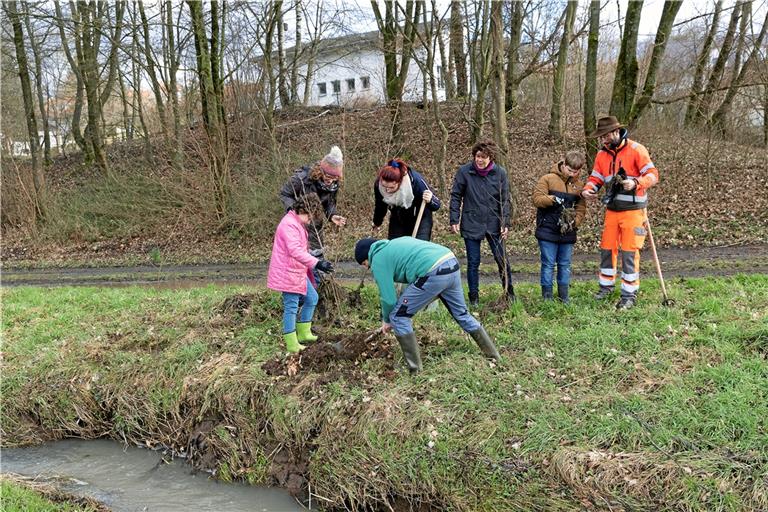 Pflanzaktion am Däfernbach: Die Fünftklässler Lisa Warth und Lucas Balles pflanzen zusammen mit (von links) Michaela Genthner, Konrektor Sigmar Zidorn von der Bize-Gemeinschaftsschule, FSJlerin Hanna Stark, Petra Klinger und Bauhofleiter Raphael Schuller einige Erlen. Foto: J. Fiedler