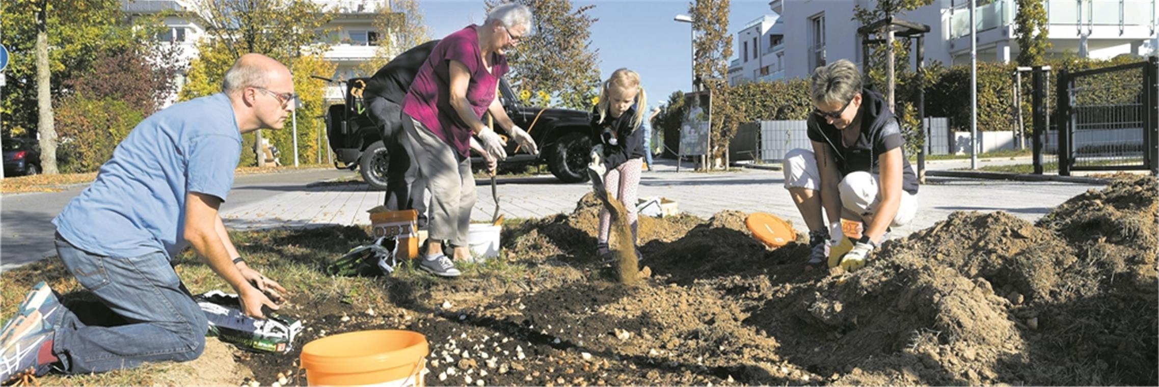 Pflanzaktion in Maubach mit Zwiebeln vom Tulpenfrühling in Backnang: Freiwillige unterschiedlicher Generationen sind mit Freude dabei.Foto: J. Fiedler