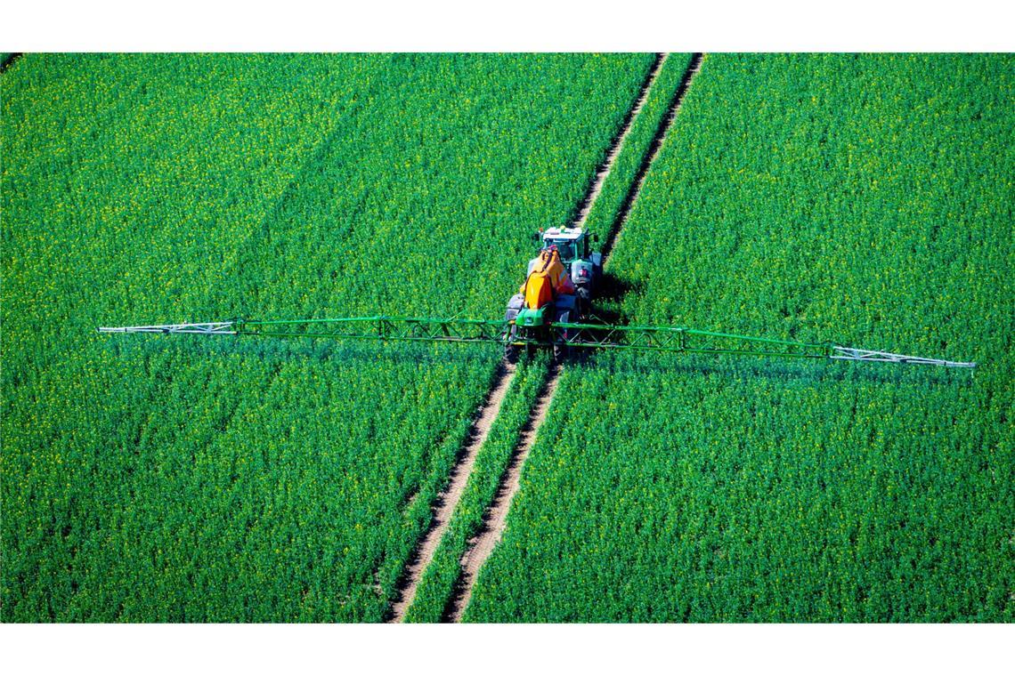 Pflanzenschutzmittel belasten Nützlinge im Boden (Archivbild)