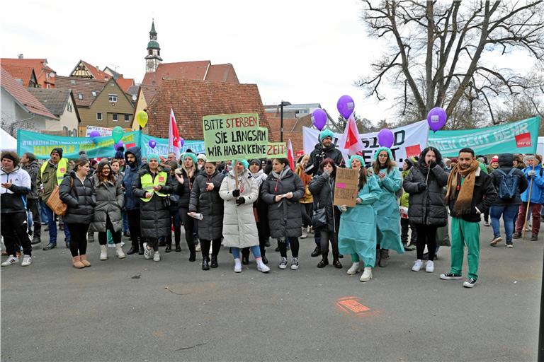 Pflegekräfte und Mitarbeiter in kommunalen Kindertagesstätten haben unter anderen gestern ihre Arbeit niedergelegt. Verdi fordert 10,5 Prozent mehr Lohn. Foto: Alexandra Palmizi