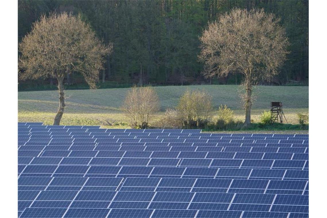 Photovoltaik-Anlagen stehen in einem Solarpark. Foto: Marcus Brandt/dpa/Symbolbild