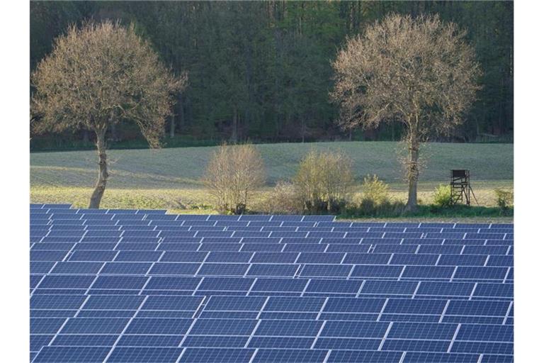 Photovoltaik-Anlagen stehen in einem Solarpark. Foto: Marcus Brandt/dpa/Symbolbild