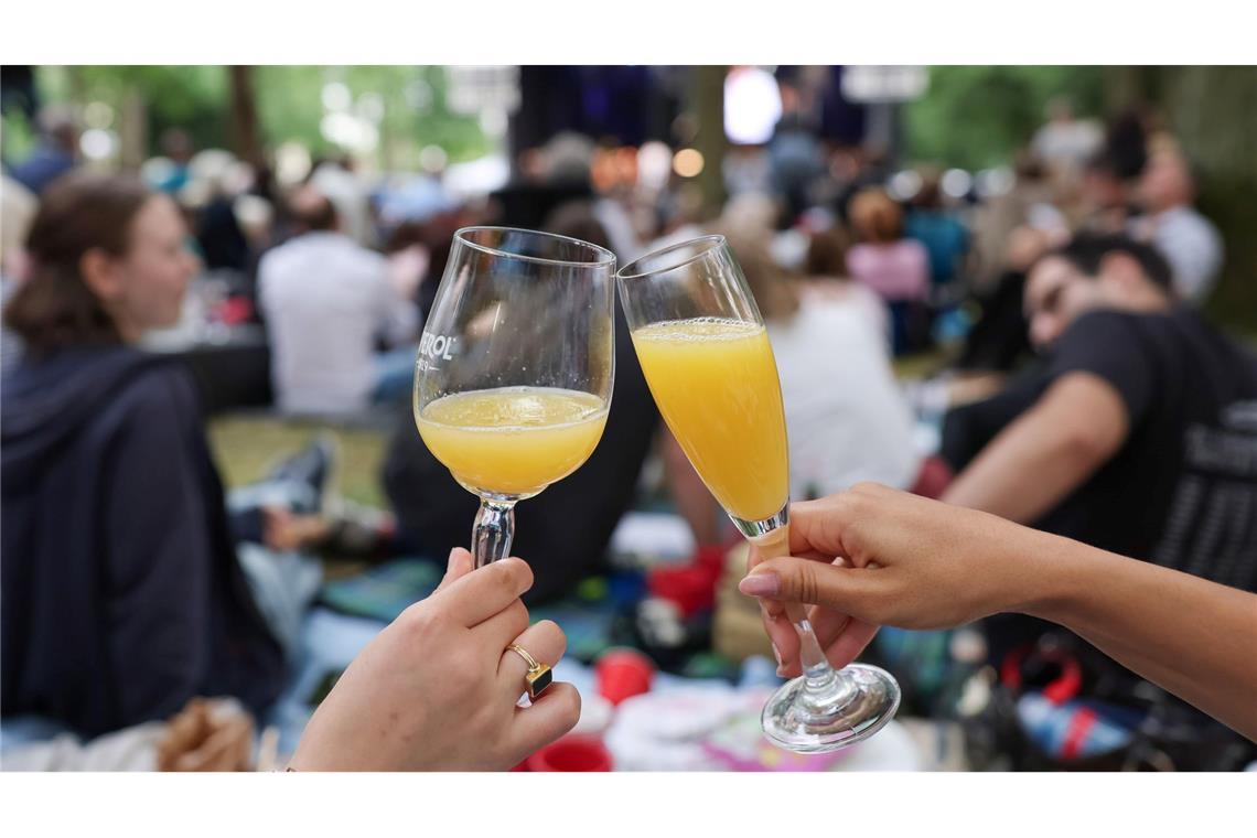 Bayreuth oder Salzburg - ein Festspielvergleich Picknick im Bayreuther Festspielpark beim Open Air. (Archivbild)