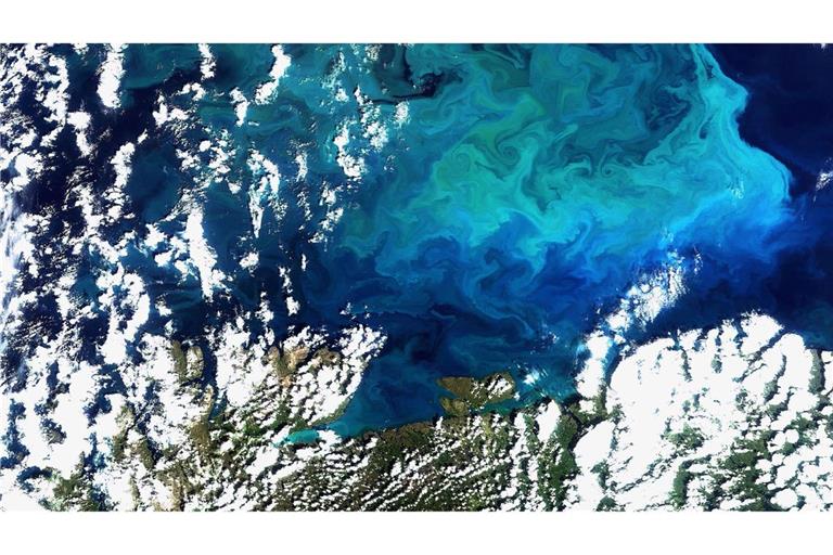 Plankton, aufgenommen vom Satelliten Envisat am 20.08.2009 im Norden Europas(Archivfoto)