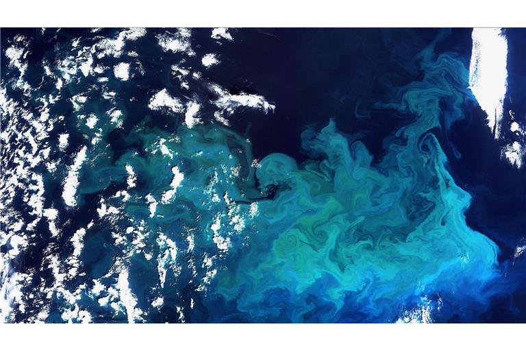 Plankton, aufgenommen vom Satelliten Envisat im Norden Europas (Archivfoto).