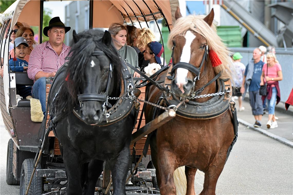 Planwagenfahrt auf dem Maimarkt.