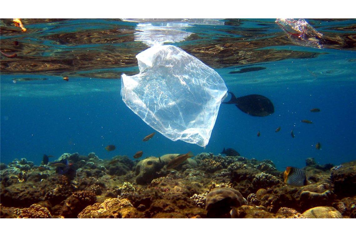 Mikroplastik in Umwelt könnte sich bis 2060 vervielfachen Plastikmüll im Meer