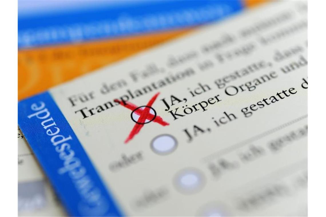 Bericht: Bestellungen von Organspende-Ausweisen verdoppelt Plötzlich gefragt: Die Rückseite eines Organspende-Ausweises mit angekreuztem Zustimmungsfeld. Foto: Marie Reichenbach/dpa