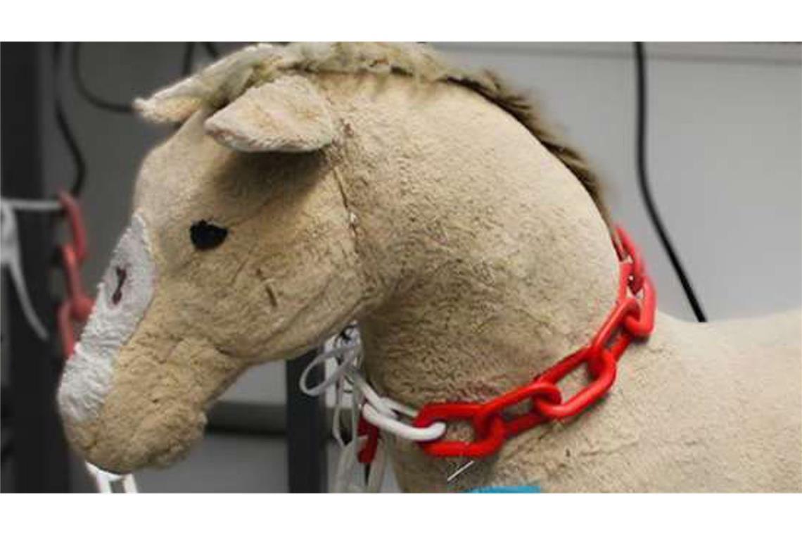 Plüschtier an der B10: Die Polizei sammelte dieses Plüschtier ein, das für ein herrenloser Hund gehalten wurde.