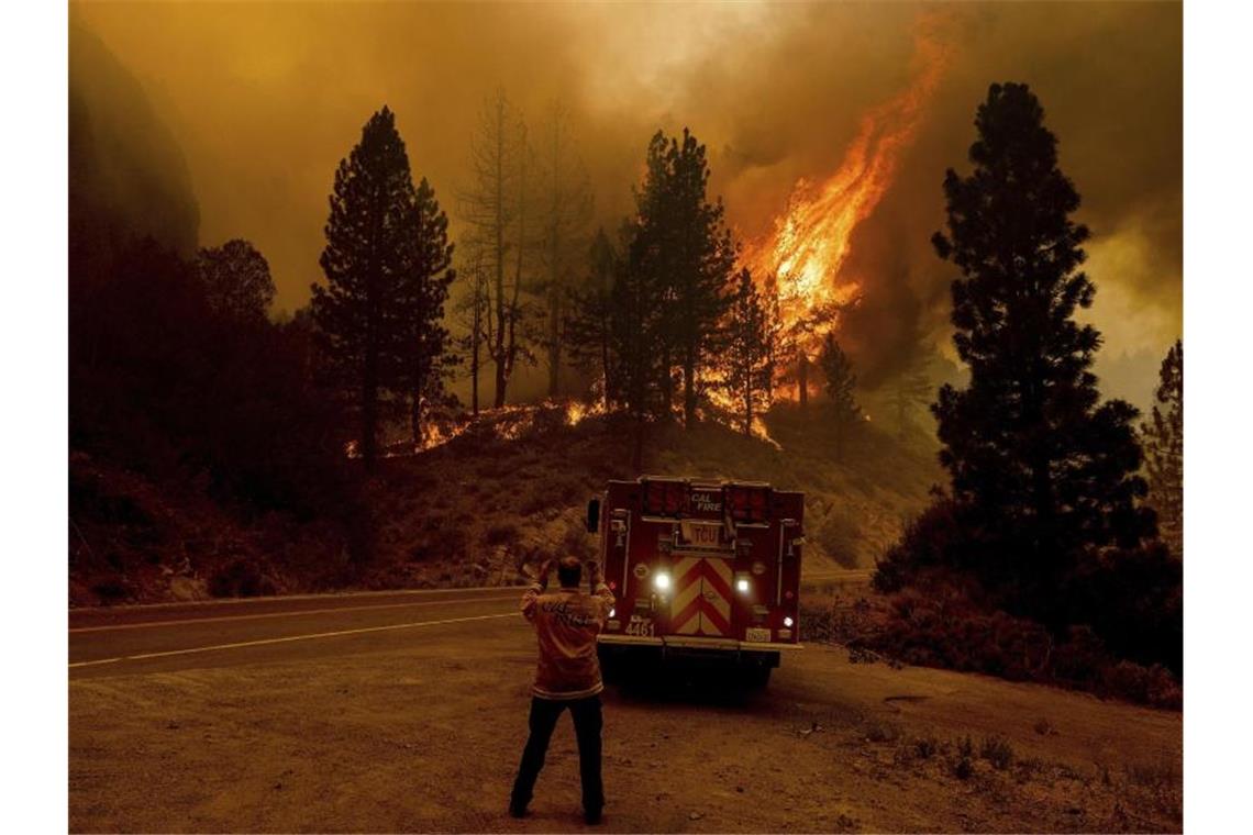 Meteorologen erwarten extreme Hitzewelle im Westen der USA Plumas National Forest: Es sind Szenen, wie aus einem Endzeit-Film. Foto: Noah Berger/AP/dpa