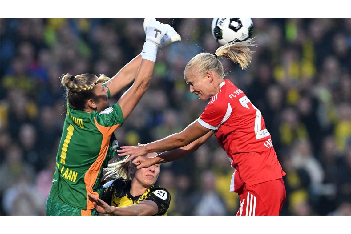 Pokalfight in Dortmund: Bayern-Star Harder trifft auf BVB-Talent van der Laan