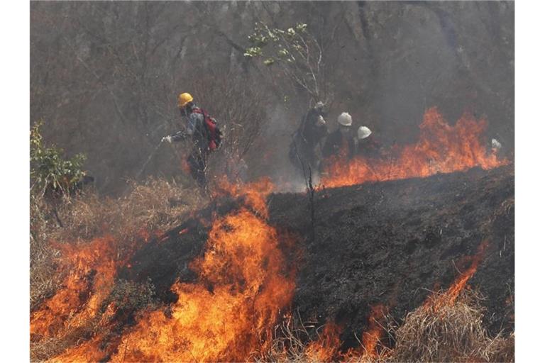 Polizei und Feuerwehrleute versuchen, ein Feuer im Chiquitano-Wald am Rande zu löschen. Foto: Juan Karita/AP/dpa