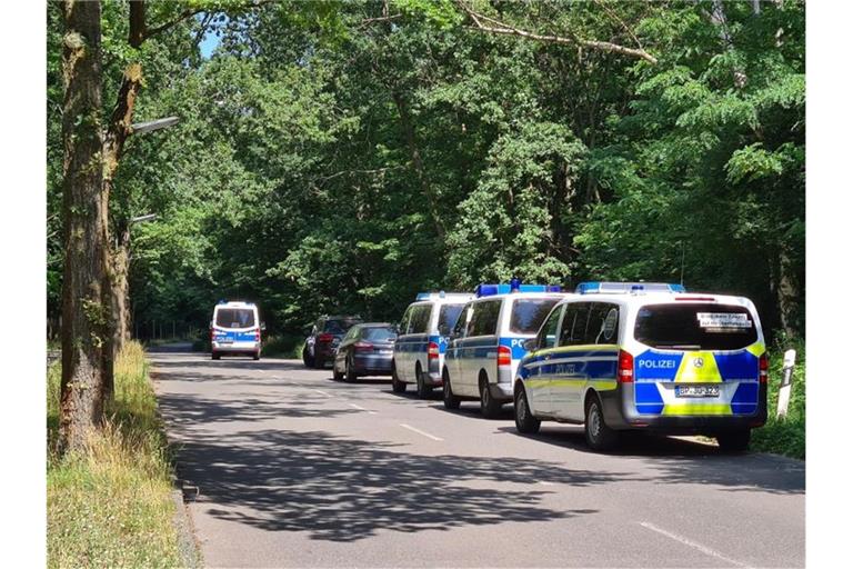 Polizeiautos stehen in einem Waldstück zwischen Babelsberg und Dreilinden. Über Wochen hinweg hatten Meldungen von gewalttätigen Übergriffen auf Frauen überwiegend im Berliner Südwesten große Verunsicherung und Besorgnis ausgelöst. Foto: Julian Stähle/dpa-Zentralbild/dpa/Archiv