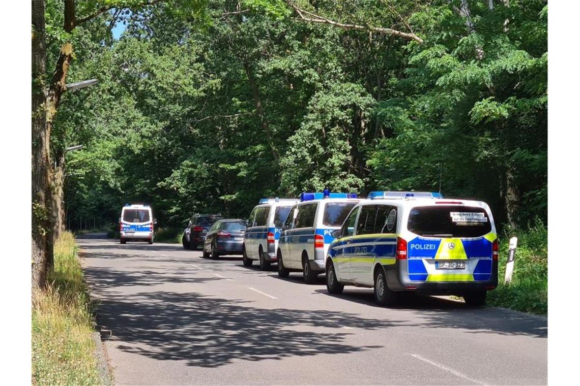 Polizeiautos stehen in einem Waldstück zwischen Babelsberg und Dreilinden. Foto: Julian Stähle/dpa-Zentralbild/dpa