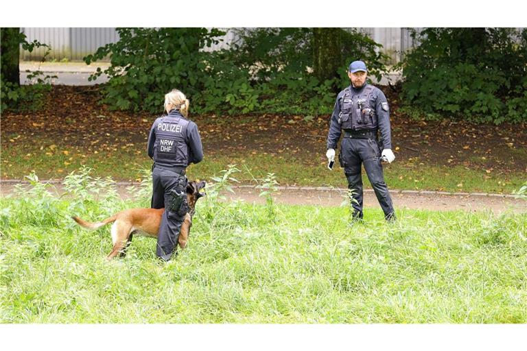 Polizeibeamte suchen im September 2024 knapp drei Wochen nach dem tödlichen Messerangriff in Solingen nach Beweismitteln.