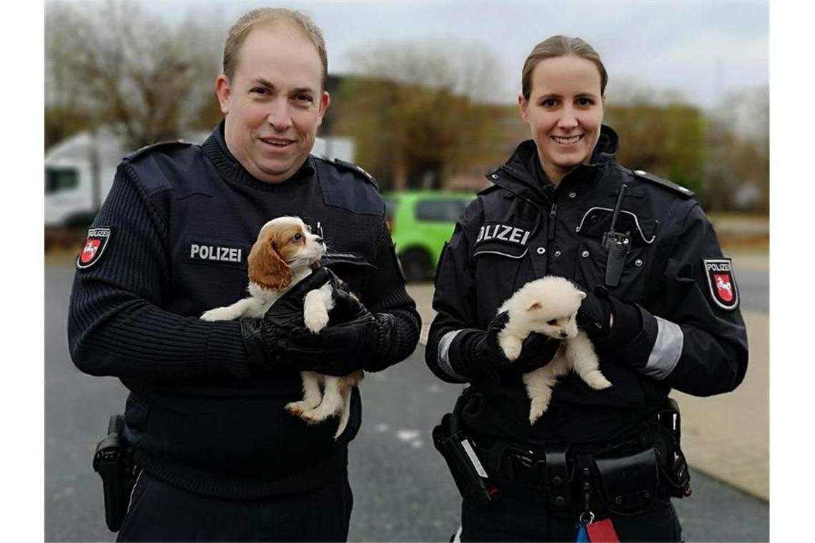 Polizeikommissarin Farina Nolde und Polizeikommissar Torsten Schrader halten während eines Polizeieinsatzes in Lahe zwei Hundewelpen. Foto: Moritz Ahrens/Polizeidirektion Hannover/dpa