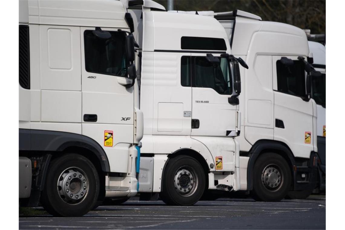 Polnische Transportunternehmen ziehen nach Deutschland Polnische Spediteure gründen verstärkt Niederlassungen in Deutschland (Symbolbild). Foto: Sebastian Gollnow/dpa