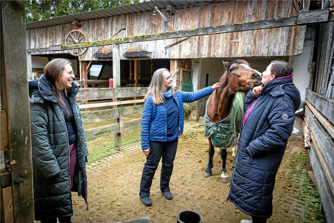 Ponystute Jessy war früher sehr viel auf Springturnieren unterwegs. Seit einem Springunfall ist sie auf einem Auge blind und wurde lange vernachlässigt. Im Verein – von rechts: Eileen Kraus, Heike Grätsch, Mira Weller und Sarah Groß (nicht auf dem Bild) – hat die Stute nun ein Zuhause und lernt Tricks wie Küsschengeben. Foto: Alexander Becher