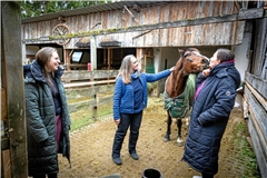 Ponystute Jessy war früher sehr viel auf Springturnieren unterwegs. Seit einem Springunfall ist sie auf einem Auge blind und wurde lange vernachlässigt. Im Verein – von rechts: Eileen Kraus, Heike Grätsch, Mira Weller und Sarah Groß (nicht auf dem Bild) – hat die Stute nun ein Zuhause und lernt Tricks wie Küsschengeben. Foto: Alexander Becher