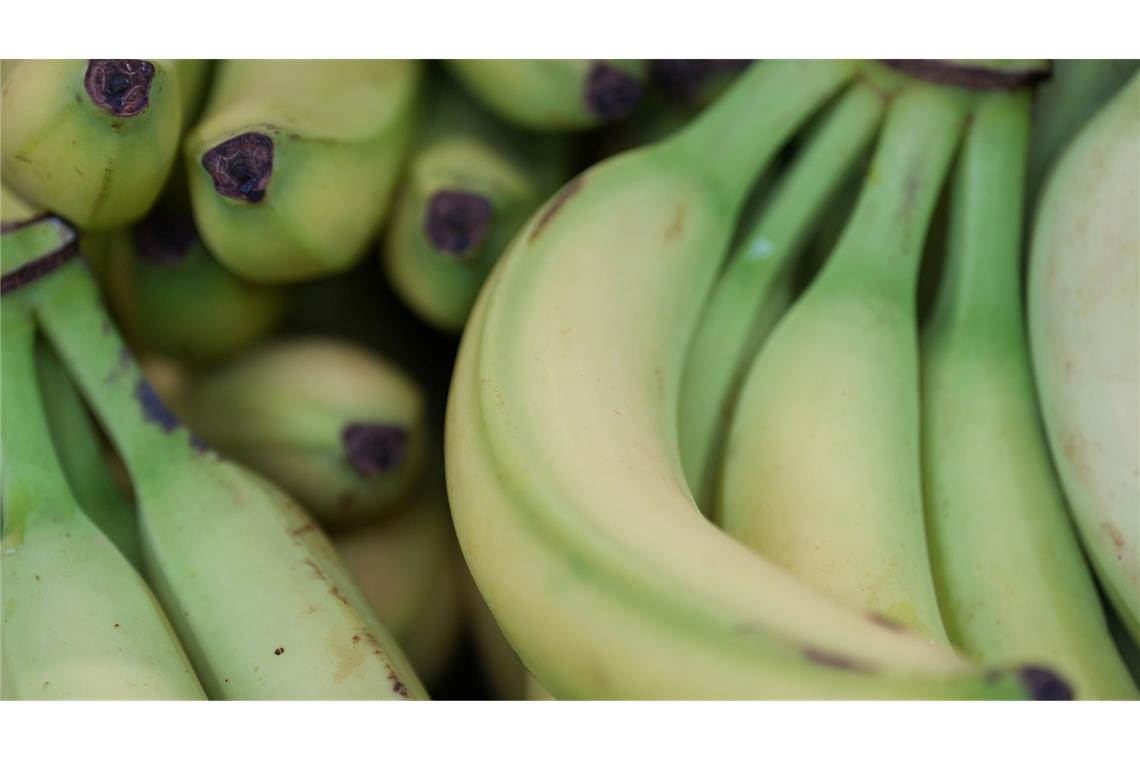 Preise für viele Lebensmittel haben im Januar angezogen. (Symbolbild)