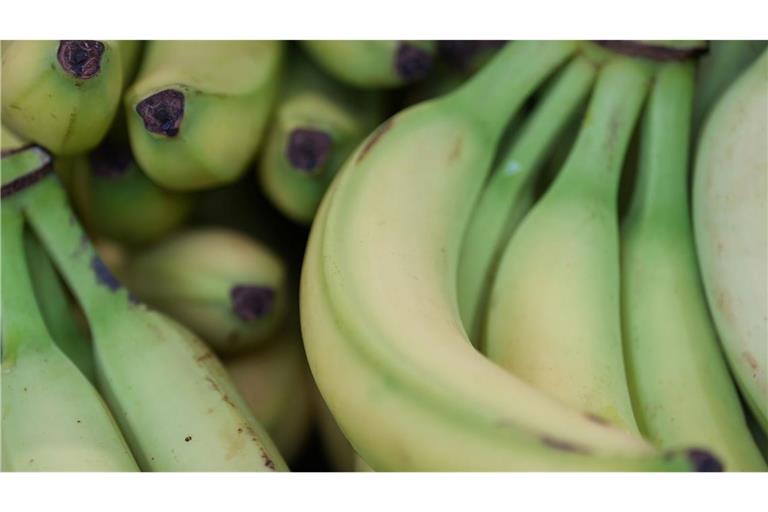 Preise für viele Lebensmittel haben im Januar angezogen. (Symbolbild)