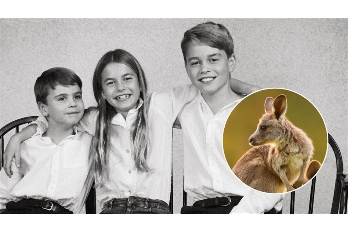 Prinz Louis, Prinzessin Charlotte und Prinz George durften ein Baby-Känguru benennen. (Symbolbild)