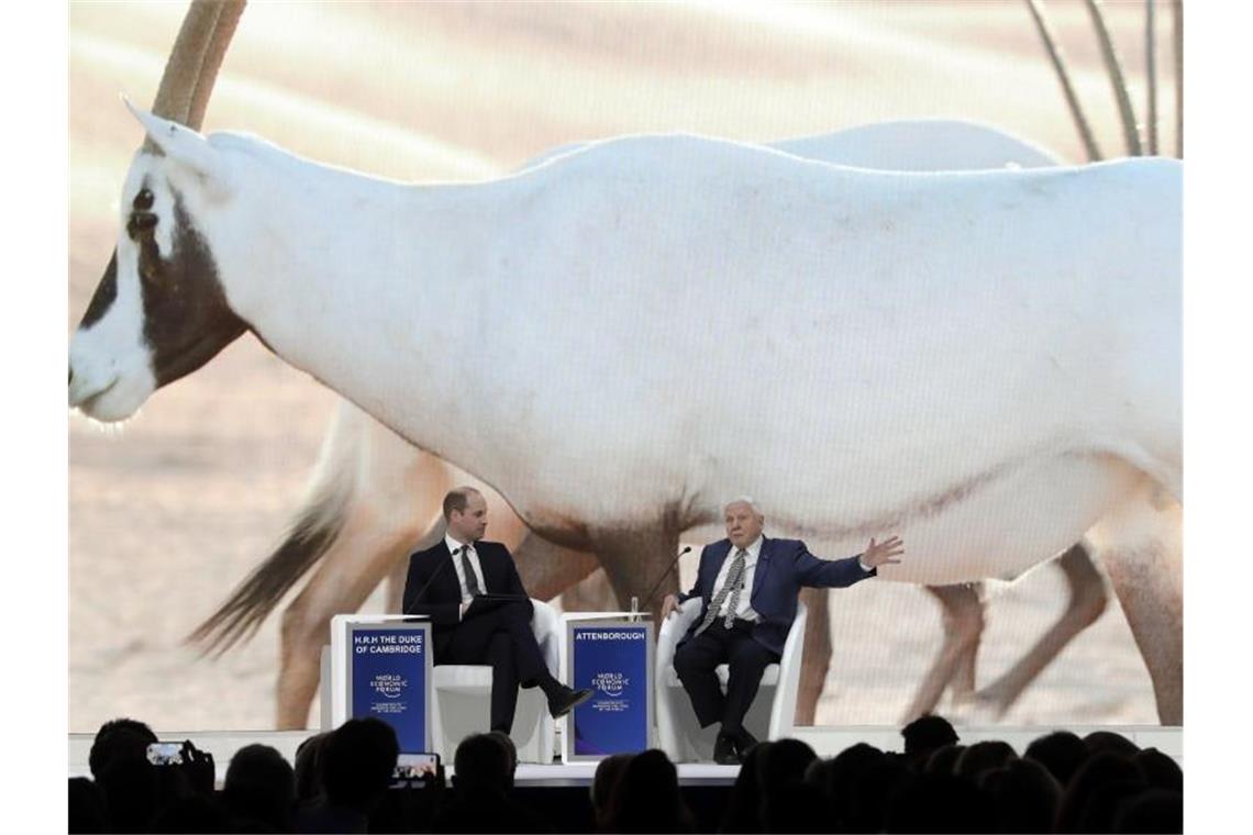 Prinz William (l) und der britische Naturforscher Sir David Attenborough sprechen auf dem Podium in Davos miteinander. Foto: Markus Schreiber/AP