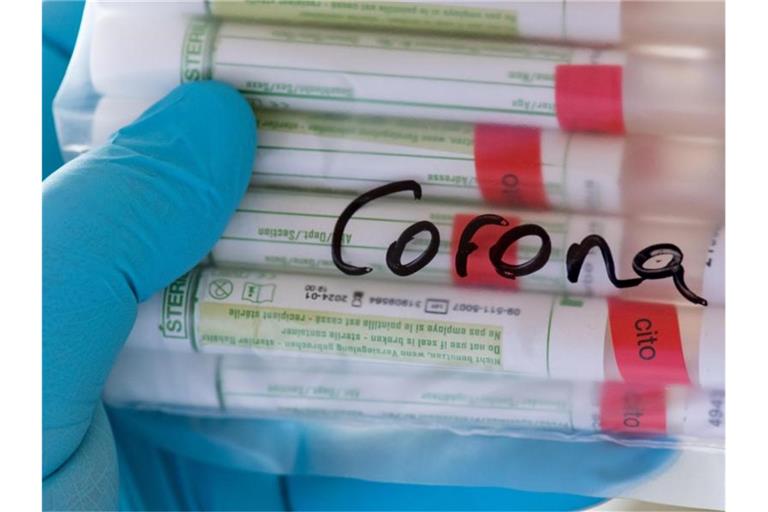 Proben für Corona-Tests werden für die weitere Untersuchung vorbereitet. In einem Flüchtlingsheim in Nordrhein-Westfalen sind mindestens 70 Menschen positiv getestet worden. Foto: Hendrik Schmidt/dpa-Zentralbild/ZB