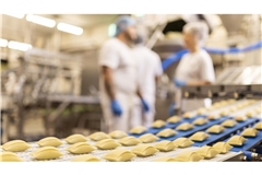 Produktion bei Bürger: Maultaschen am laufenden Band