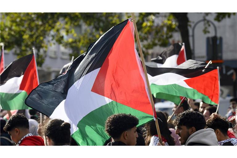 Propalästinensische Protestaktionen gegen den Gaza-Krieg setzen sich in Ulm fort. (Symbolbild)