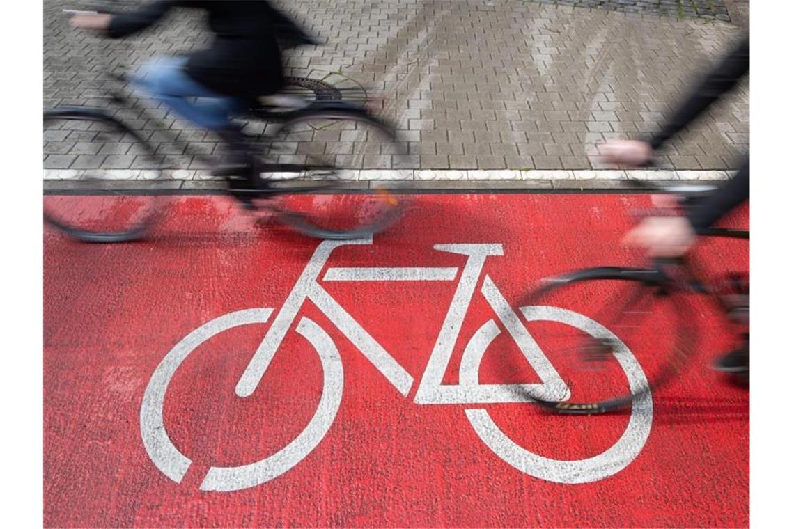 Radfahrer fahren auf einem Radweg. Foto: Friso Gentsch/dpa/Archivbild