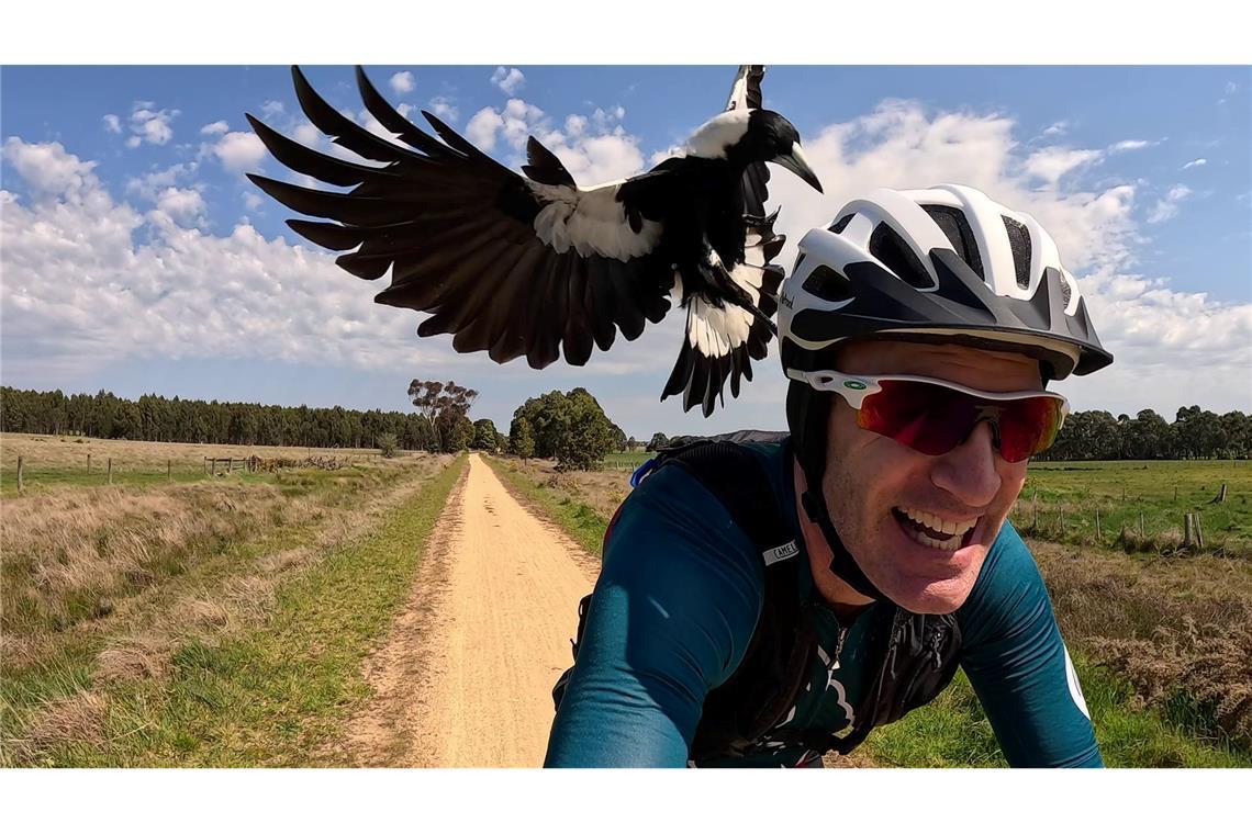 Magpies: Australiens überraschende Angreifer aus der Luft Radfahrer Shane Miller testet einen "PieProof"-Helm gegen Magpie-Angriffe.