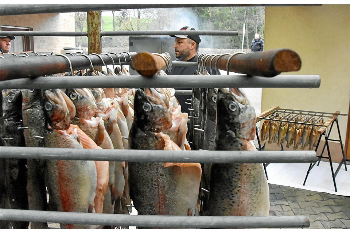 Räuchern ist eine der ältesten Methoden, Fische haltbar zu machen. Jedes Jahr räuchern die Mitglieder des Angelsportvereins Althütte vor Ostern einige Hundert Forellen. Fotos: Tobias Sellmaier