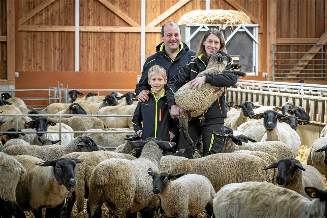 Das Lamm, ein beliebtes Tier zu Ostern