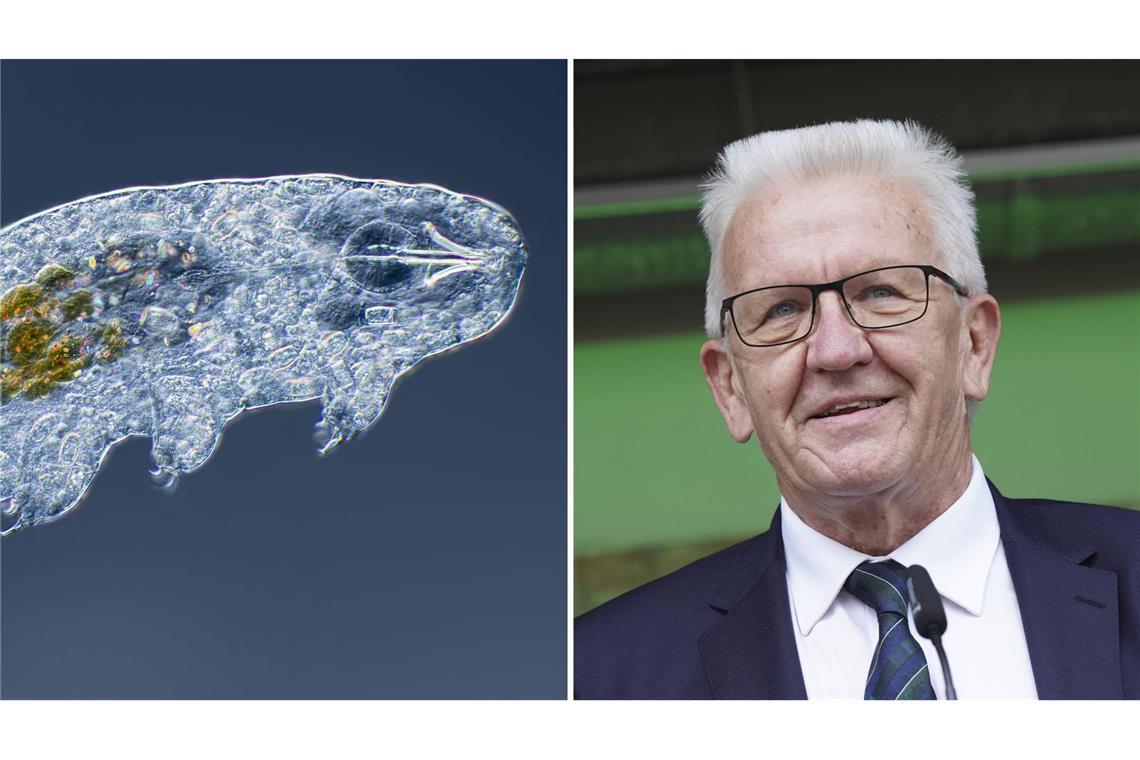 „Ramazzottius kretschmanni“ heißt ein nach Winfried Kretschmann benanntes Bärtierchen. (Symbolbild/Archivbild)