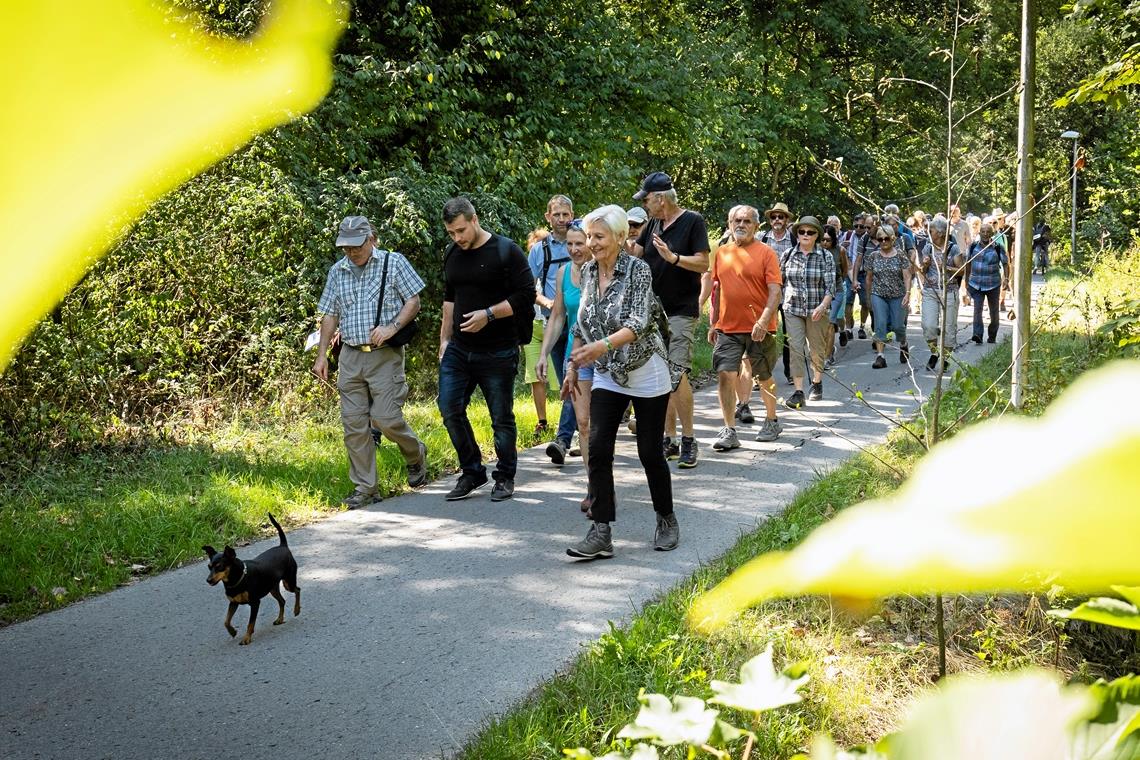 Wandertag in Weissach: Jeder Ortsteil hat seinen Charme Rathauschef Daniel Bogner (vorne Mitte) geht auf Großprojekte wie den Auenpark ein.