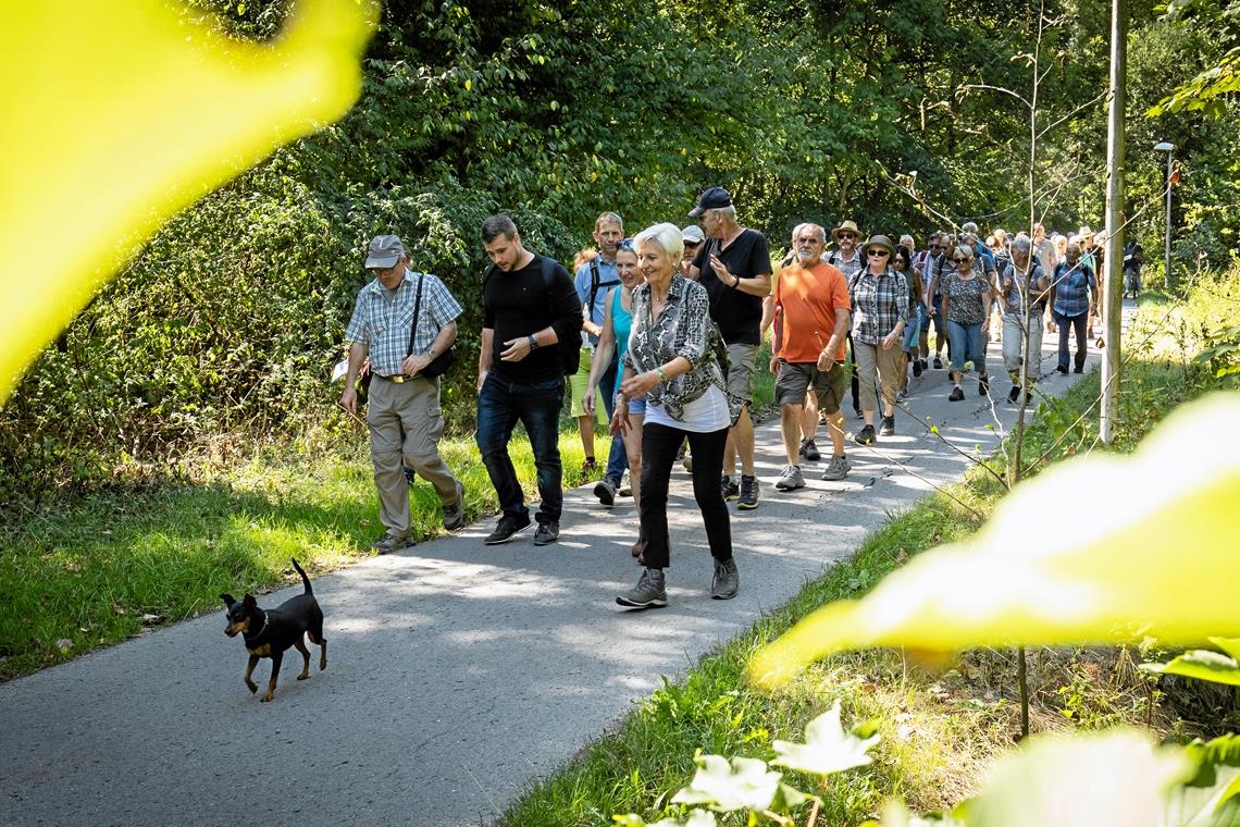 Wandertag in Weissach: Jeder Ortsteil hat seinen Charme