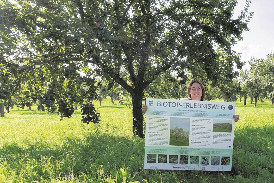 Rathausmitarbeiterin Sandra Krauß zeigt den Entwurf für die neu gestaltete Infotafel am Standort Streuobstwiese. Foto: J. Fiedler