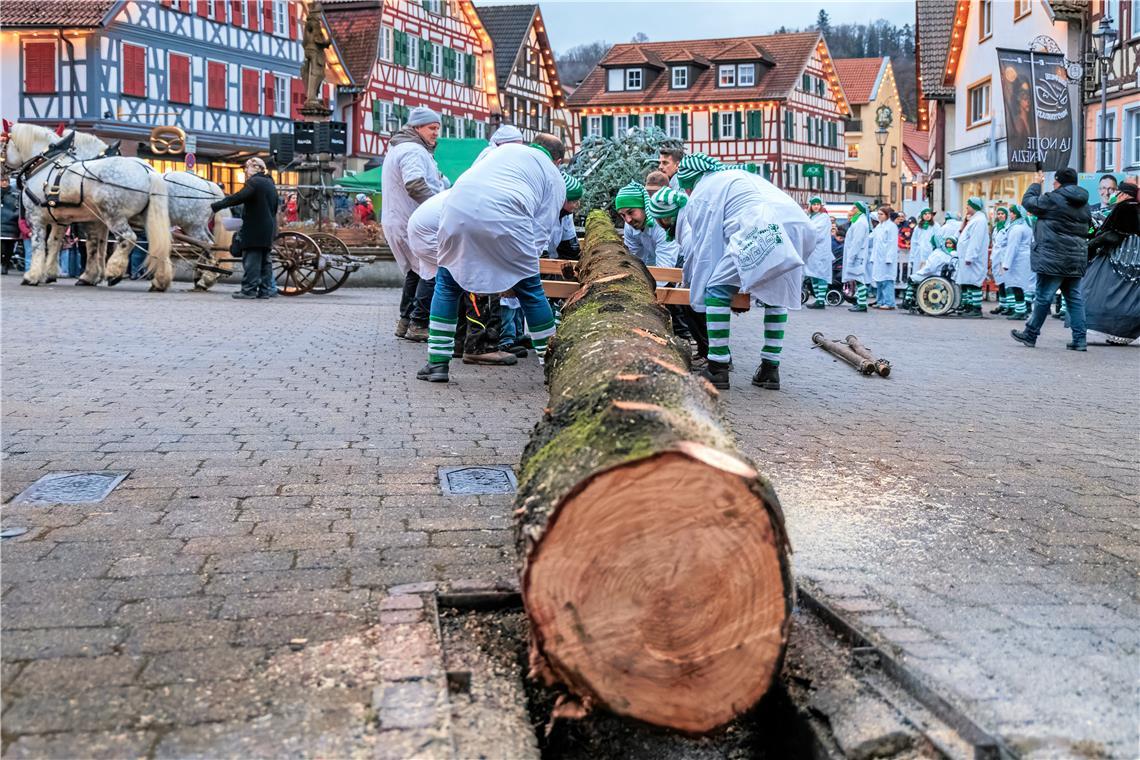 Rathaussturm 2026 in Murrhardt mit Narrentaufe und Narrenbaum stellen.