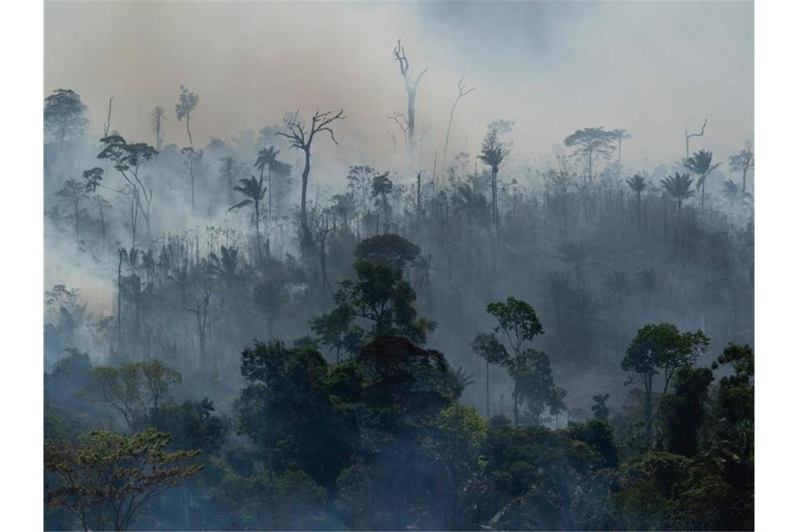 Rauch steigt aus dem Regenwald im Amazonas bei Altamira. Foto: Leo Correa/AP