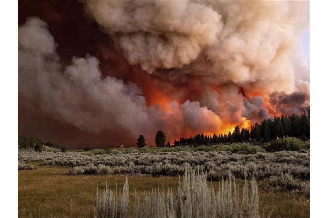 Meteorologen erwarten extreme Hitzewelle im Westen der USA Rauchschwaden steigen am Frenchman Lake im Plumas National Forest auf. Foto: Noah Berger/AP/dpa