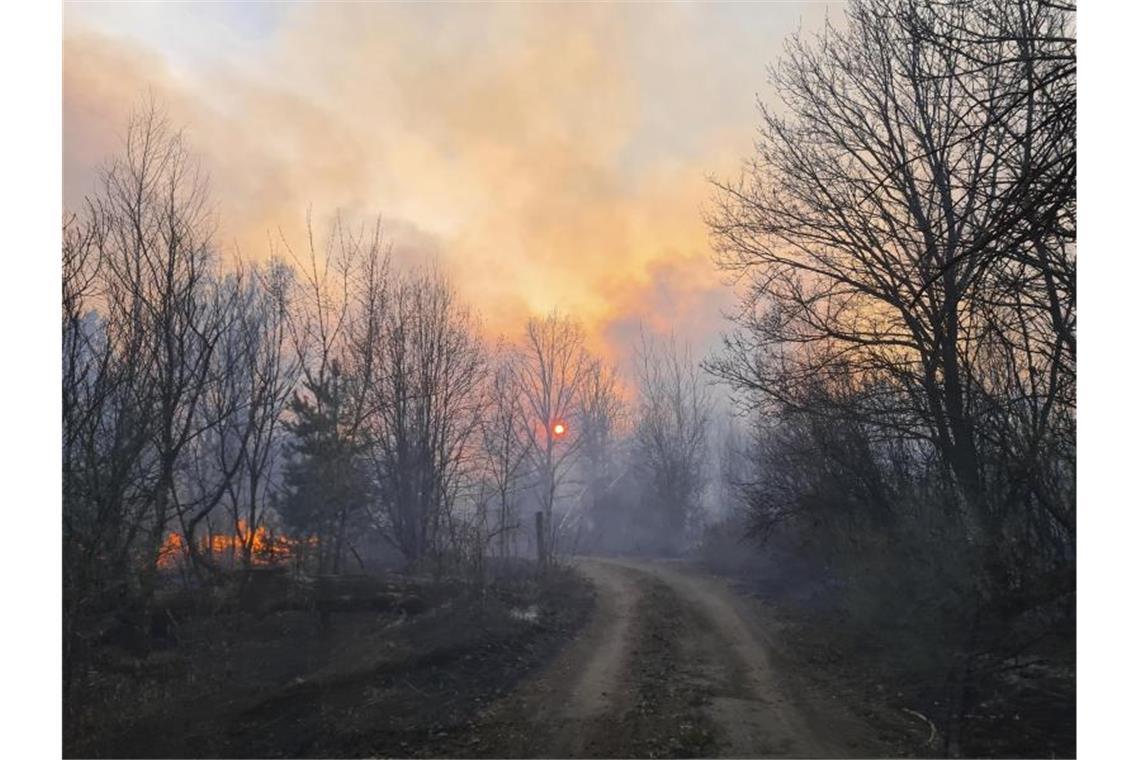 Löscheinsatz in den verstrahlten Wäldern von Tschernobyl Rauchschwaden steigen von einem Waldbrand in der radioaktiv belasteten Sperrzone um das Kernkraftwerk Tschernobyl auf. Foto: Yaroslav Yemelianenko/AP/dpa