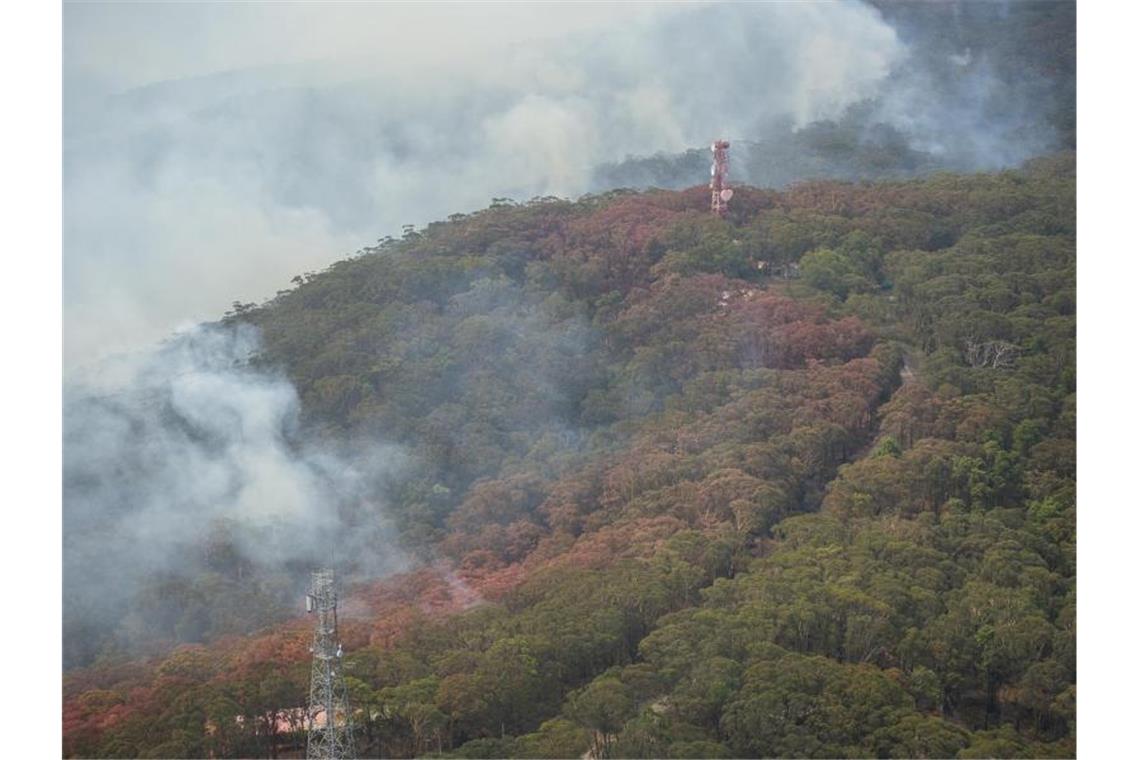 Rauchwolken steigen aus den Wäldern der Blue Mountains an einer Feuerschneise auf. Foto: Wolter Peeters/SHM POOL/AAP Image/dpa