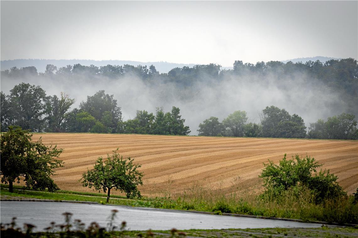 Regen und Nebelschwaden lassen die Felder bei Kirchberg an der Murr im Juli geradezu mystisch erscheinen. Foto: Alexander Becher