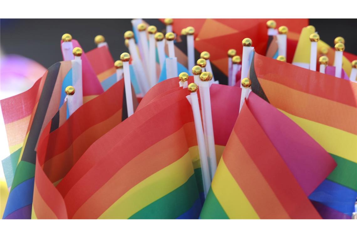 Stirbt die Schwulenszene aus? Regenbogenfahnen - Symbol der Community - auf einem Christopher Street Day. (Archivbild)