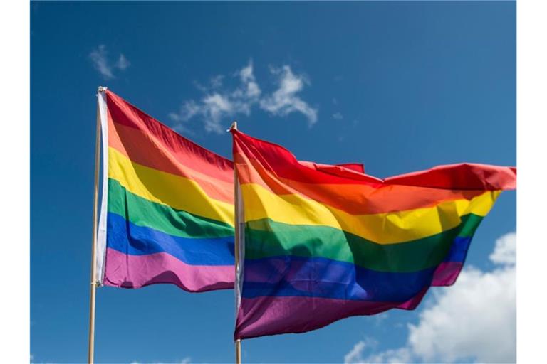 Regenbogenfahnen wehen bei einer Demonstration. Foto: picture alliance / Gregor Fischer/dpa/Symbolbild