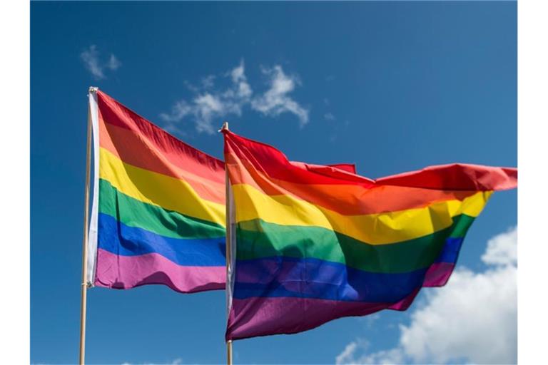 Regenbogenfahnen wehen im Wind. Foto: picture alliance / Gregor Fischer/dpa/Archiv